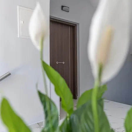 Nikisapartments 칼라마타